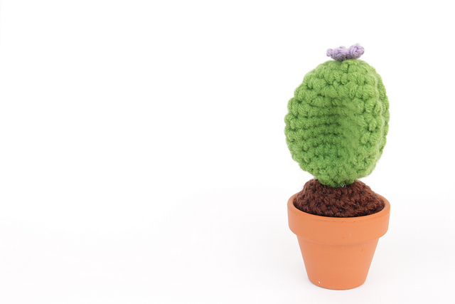 Amigurumi Cactus #4