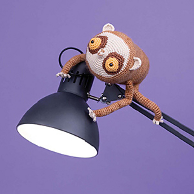 Slender Loris