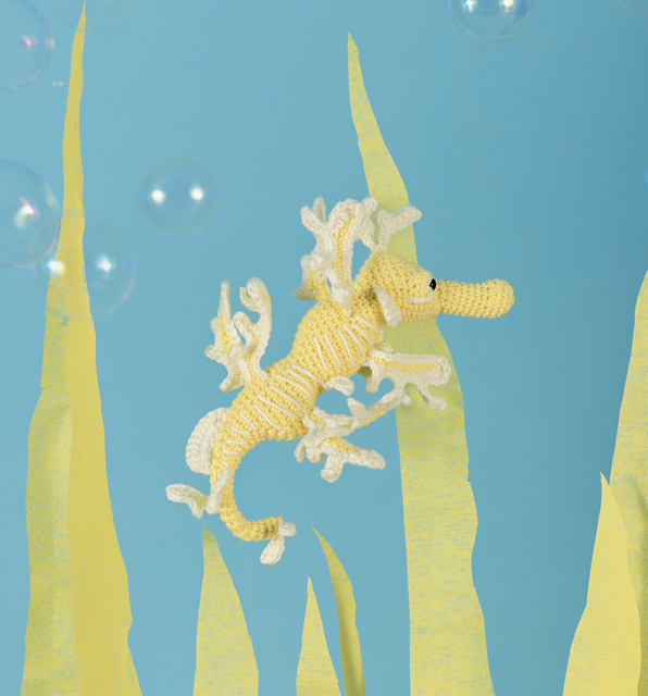 Leafy Sea Dragon