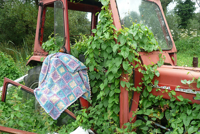 Granny Surprise Blanket