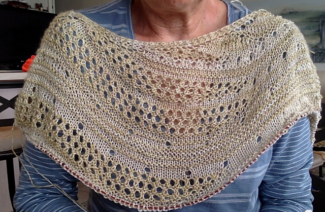 Winging It Shawl