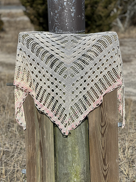 LYS 2024 Shawl