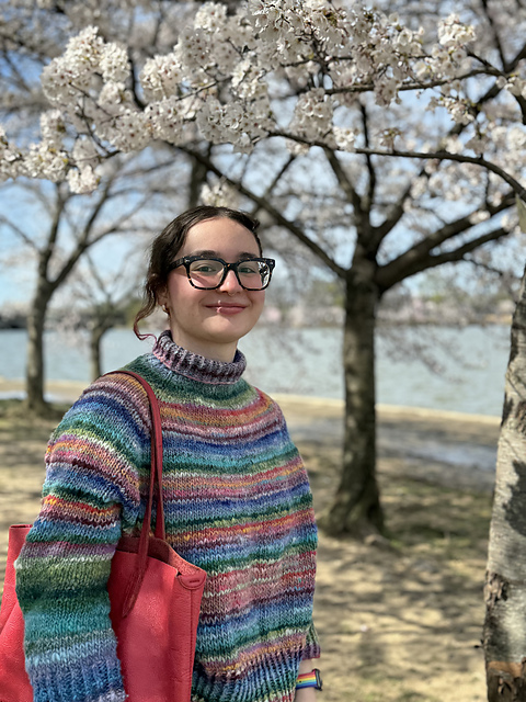 Ravelry: isabelcrafts88's Noro Ito high neck sweater