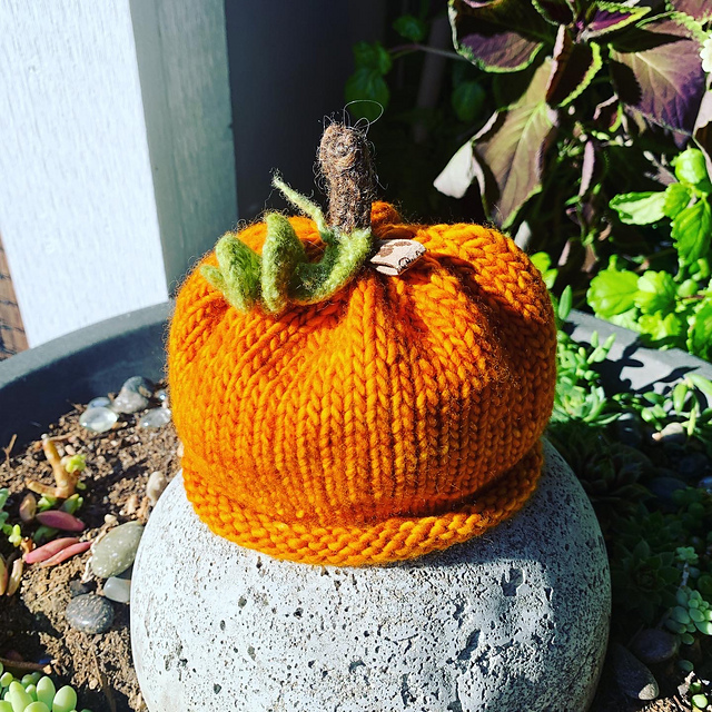 Munchkin Pumpkin