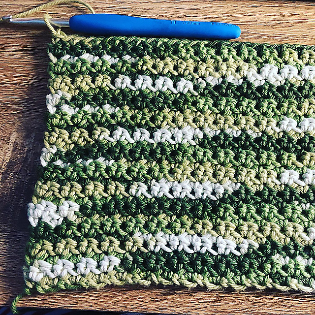 Carpe Diem Dishcloth