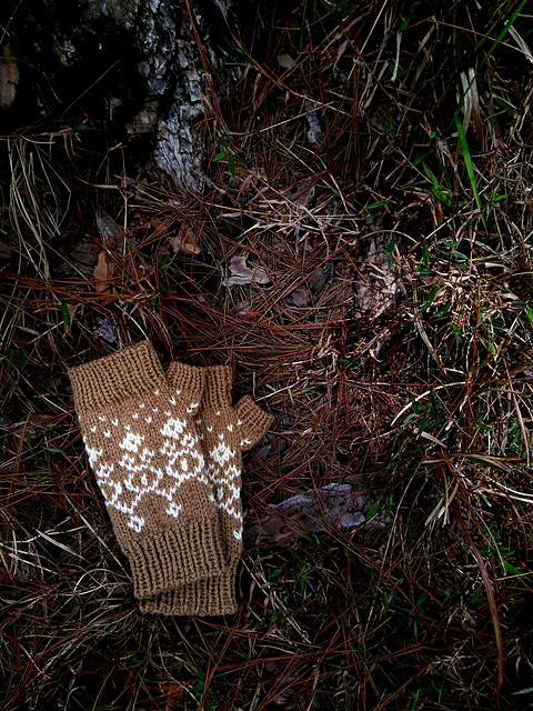 Dalat mitts