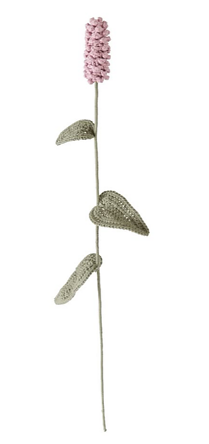 Common Bistort
