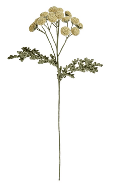 Tansy