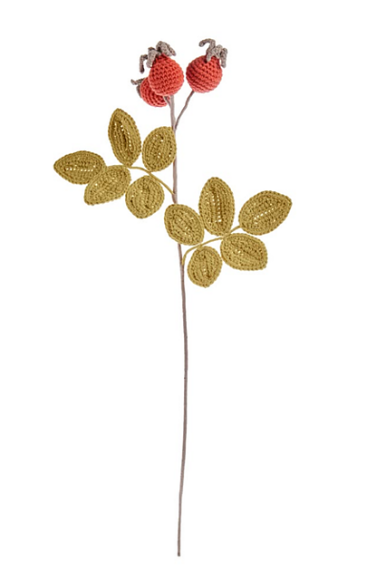 Wild Rose Hip