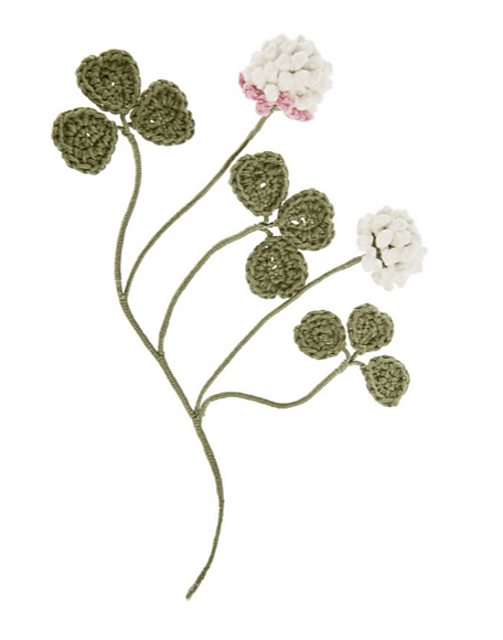 Clover