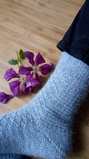 Ancilla Socks