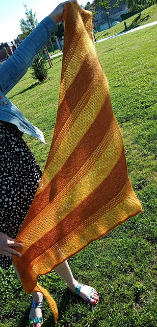 Damaris Shawl