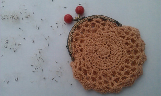 Vintage looking coin purse
