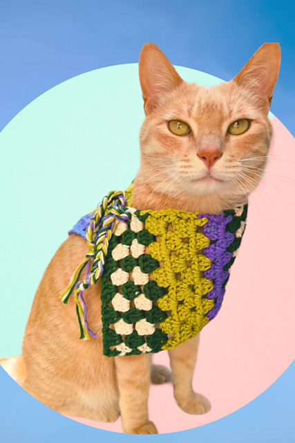 Granny Stripe Scarf for Pets