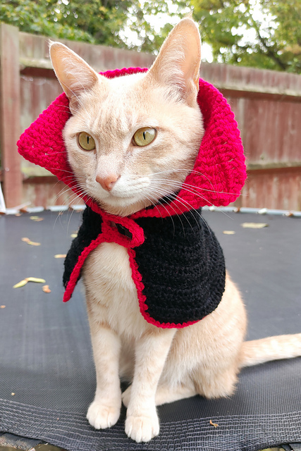 Cat Halloween Vampire Cape