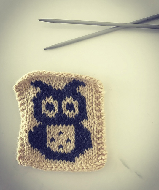 Owl square