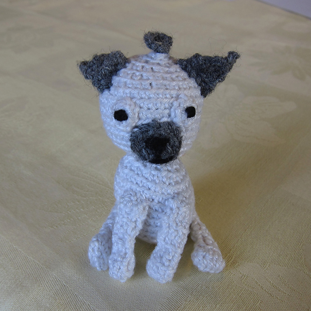 #27 Chihuahua