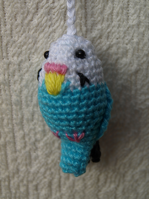 parakeet/lovebird