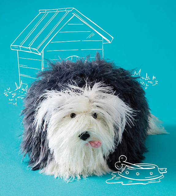 Sampson the Sheep Dog