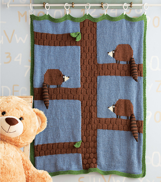 Raccoon Blanket