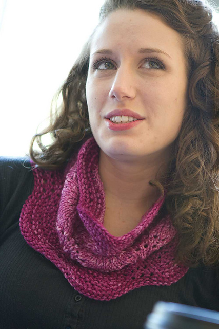 Williamson Street Cowl