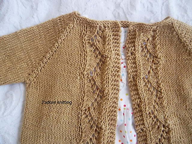Vine Lace Cardi