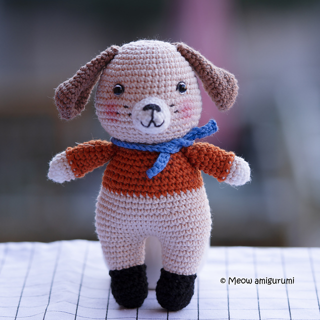 Antonie puppy