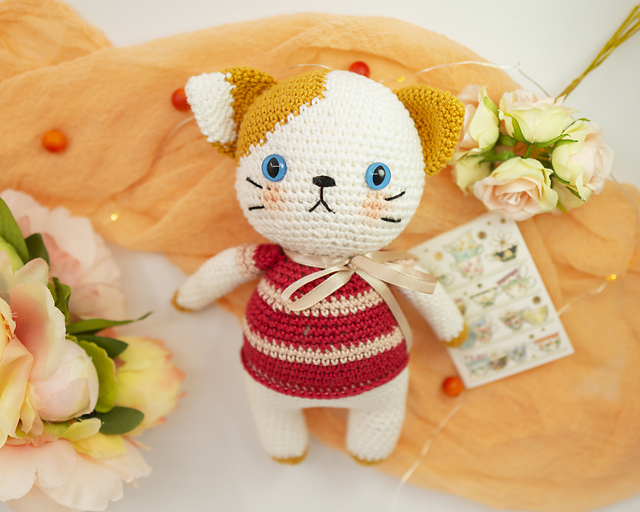 Momo the cat