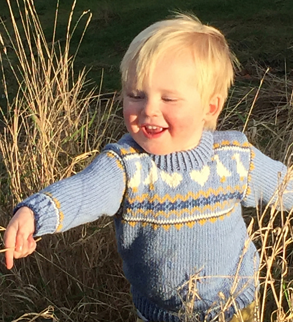 Goose jumper and Hat