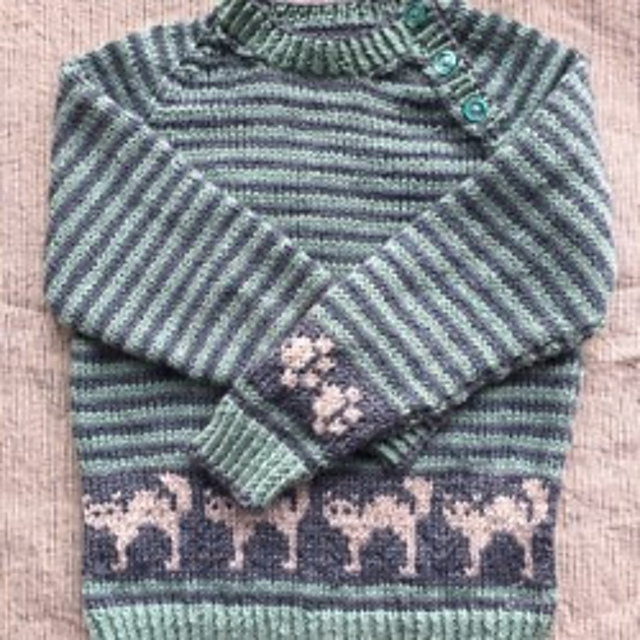 Crazy cats Jumper