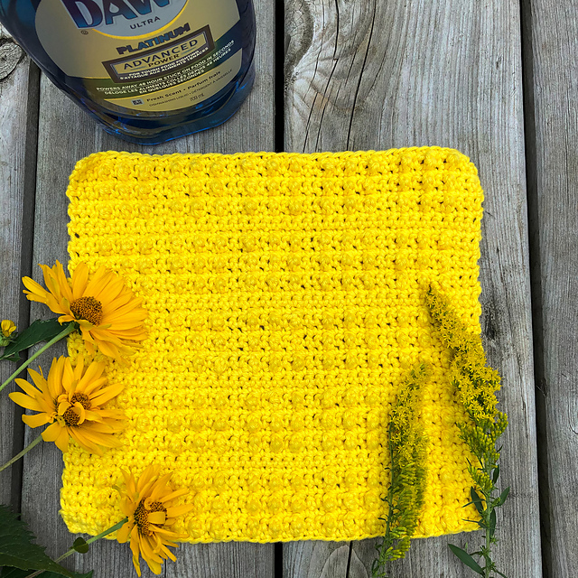 Studded Dishcloth