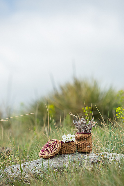 Petroglyph Baskets