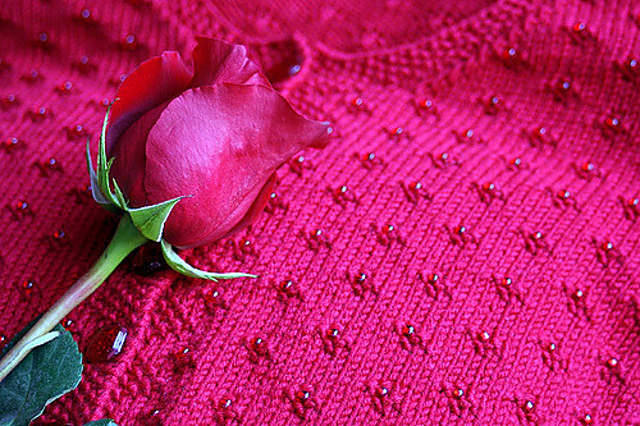 Beaded Cardigan