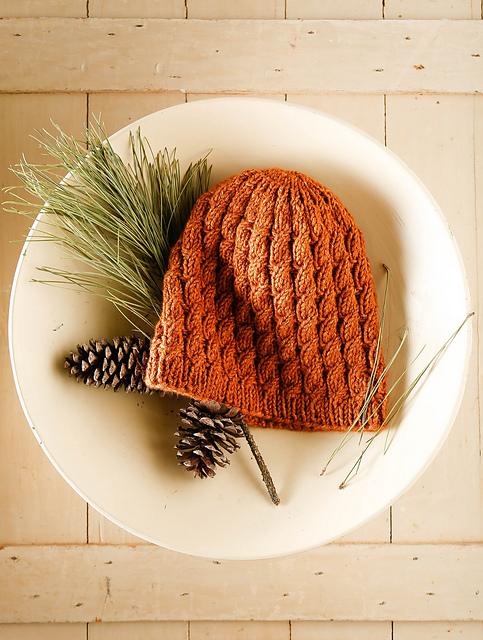 Men's Cabled Hat