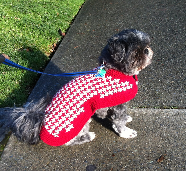 #23 Houndstooth Dog Jacket