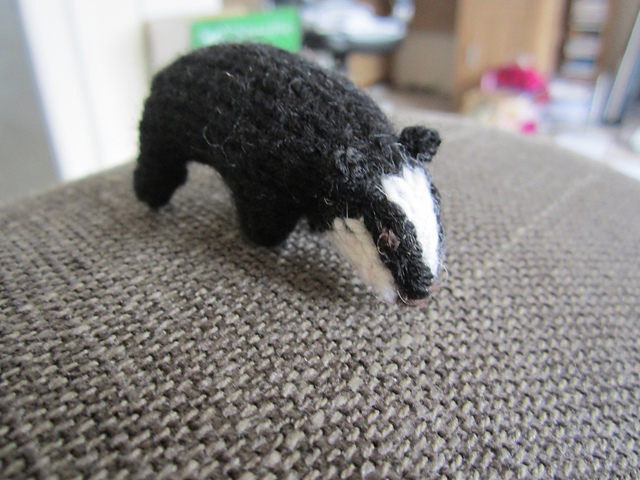 Little badger