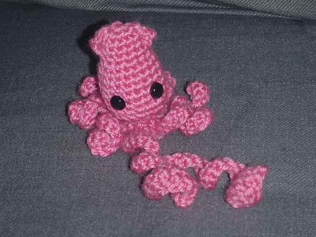 Squid