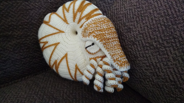 Nautilus
