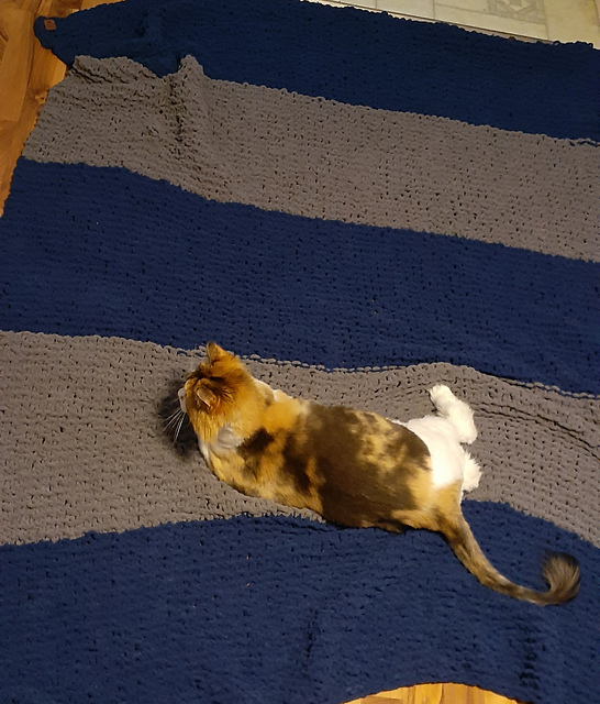 Brett's Big Birthday Blanket