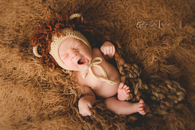 Lion & Lioness Baby Bonnet