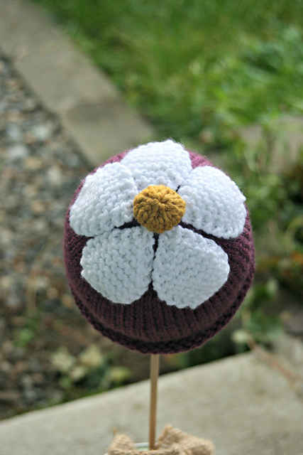 Newborn Daisy Hat