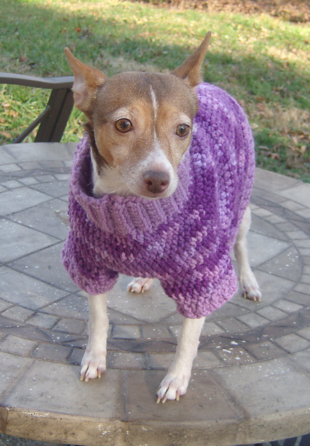 Multi-color Dog Sweater