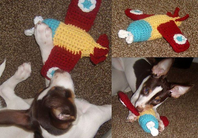 Pilot's Airplane Toy