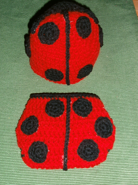 ladybug set