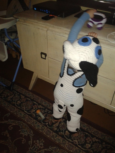 Dalmation set