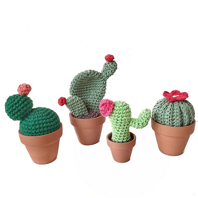 Cactus Bundle