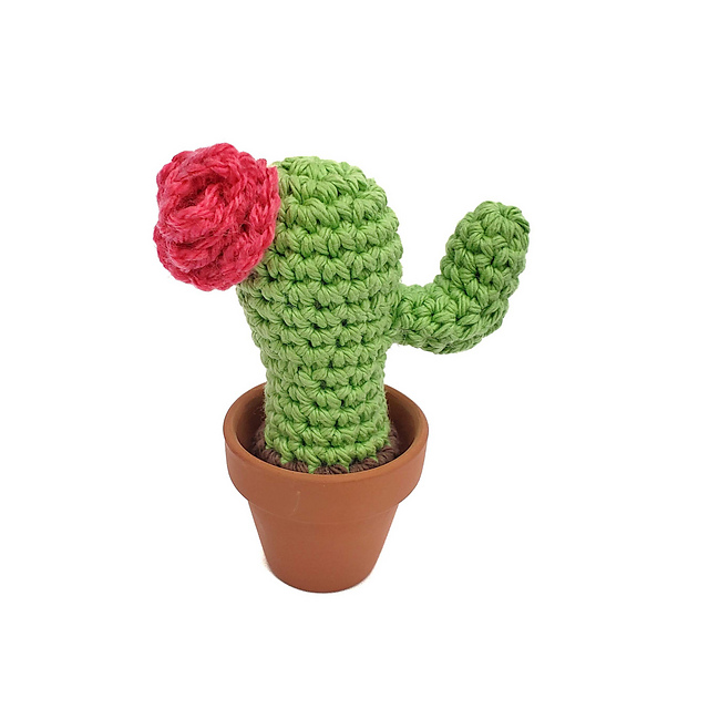 Cheery Saguaro Cactus