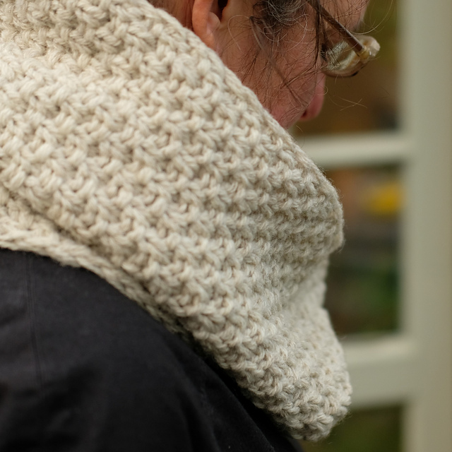 Seed Cycle Cowl