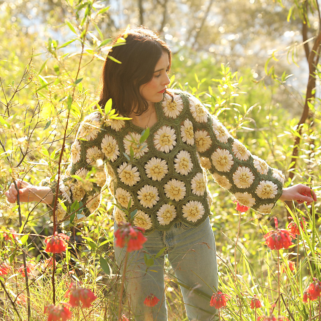 Daisy Jumper