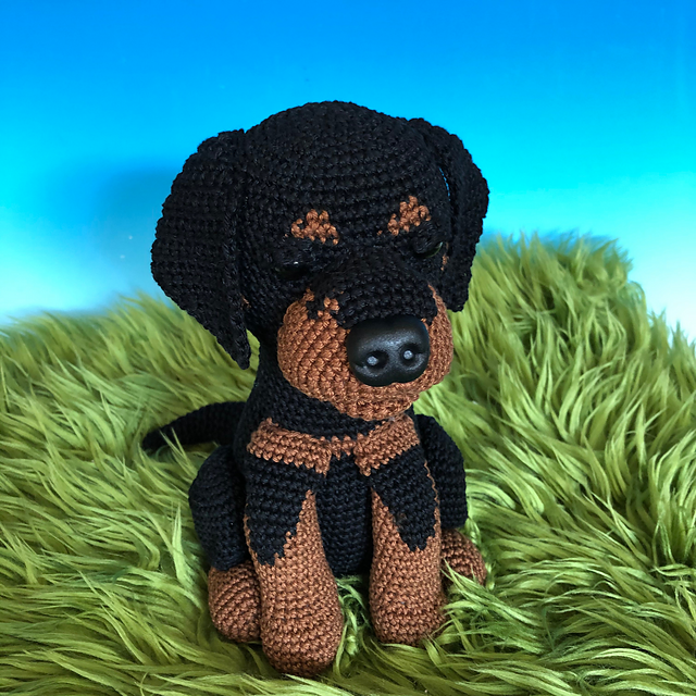 Rottweiler Rosi